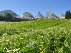 Hinterrugg Schibenstoll Zuestoll Brisi Frümsel